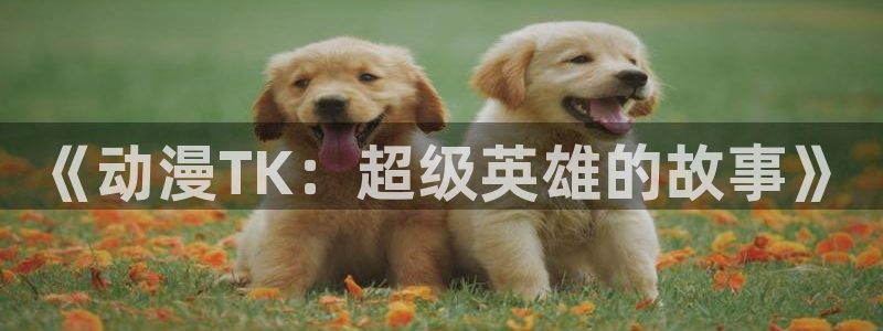 age动漫官网：《动漫TK：超级英雄的故事》